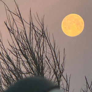 Sunday in hell (Explicit)