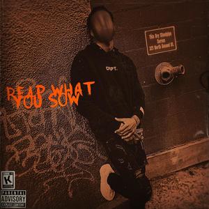 Reap What You Sow (Explicit)