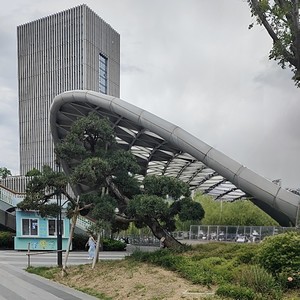 家乡的月亮 (Live)