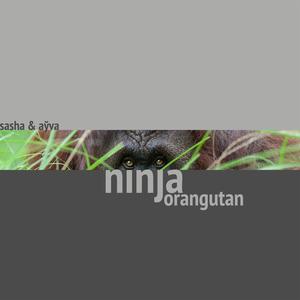 ninja orangutan