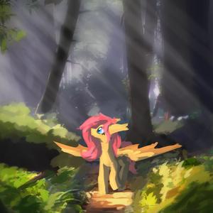 Ampyri - Flutterwonder (feat. IMShadow007)