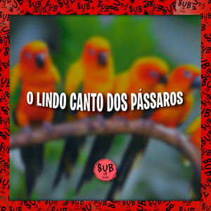 O Lindo Canto dos Pássaros (Explicit)