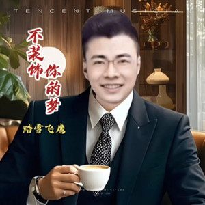 不装饰你的梦