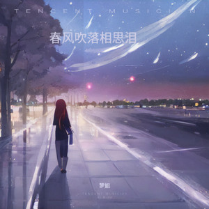 春风吹落相思泪 (DJ汤宝版)