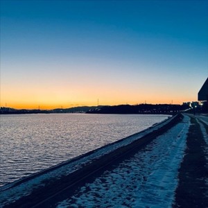 Marine Turtle (蓝洋海龟) (Korean Ver.)