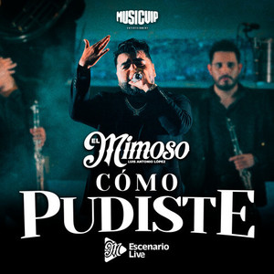 Cómo Pudiste (Parece Mentira / Cómo Pudiste / Deja) (En Vivo)