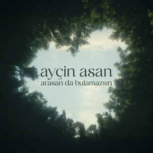 Arasan da Bulamazsın