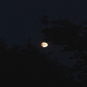 You're the one and only one