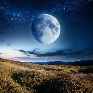 En El Corazón De La Noche Silenciosa