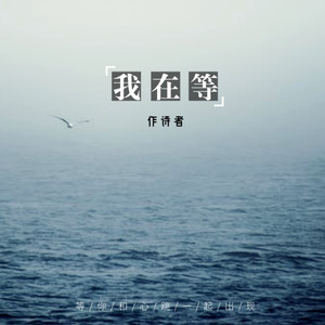 我在等 (0.8降速版)