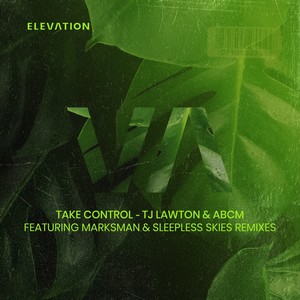 Take Control (Sleepless Skies Remix)
