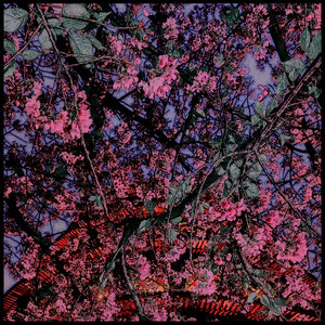 樱花客栈 (Mask Off Remix)