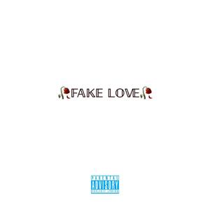 fake love (Explicit)