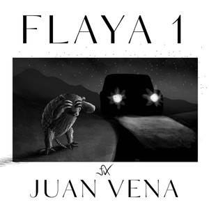 FLAYA 1