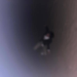 Roll