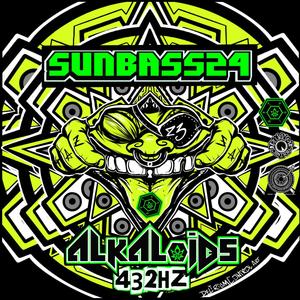 SunBass24