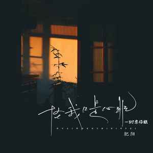 怪我口是心非 (DJ京仔版伴奏)