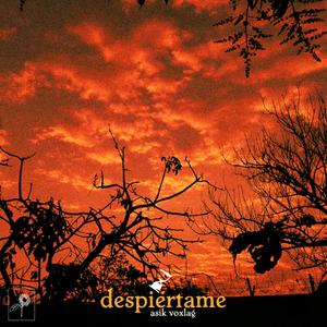 Despiértame