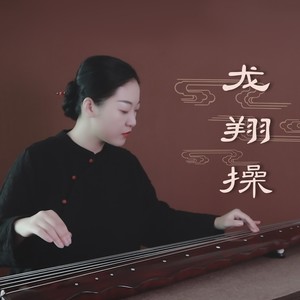 古琴《龙翔操》