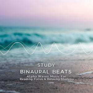 Calm Beats: Focus, Study & Relax