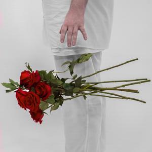 a r o s e (Explicit)