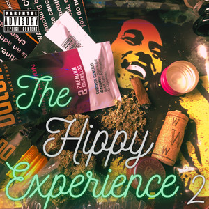 The Hippy Experience 2 (Explicit)