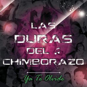Ya Te Olvide