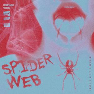 SPIDER WEB