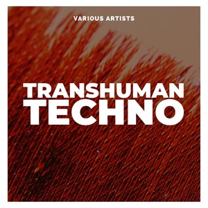 Transhuman Techno