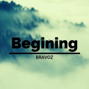 Bravoz - Environment