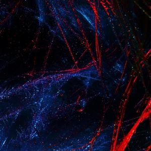 Dark Streets (Explicit)