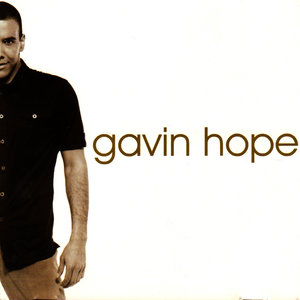 The Ultimate Love Song (Derek Brin Remix)