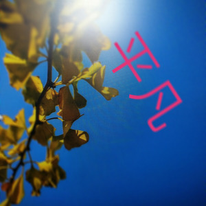 黄亮 - 平凡 (伴奏)