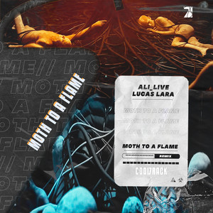 MOTH TO A FLAME (Remix)