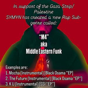 Sick Duck (Instagram Freestyle 11/28/25|Explicit)