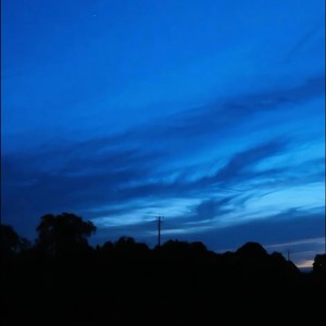 唯一学不会的就是低头