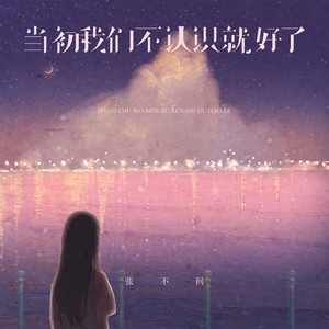 当初我们不认识就好了 (疗愈女声版伴奏)