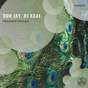 Peacock Cyclus (Original Mix)