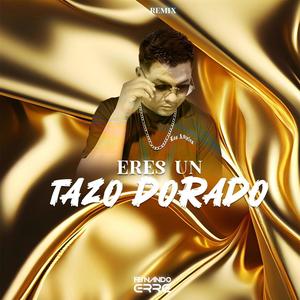 ERES UN TAZO DORADO (Remix)