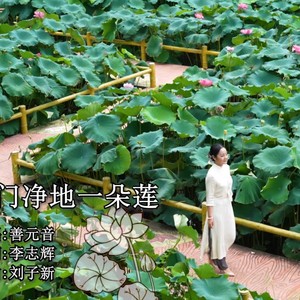 佛门净地一朵莲-伴奏 善元音 (伴奏)