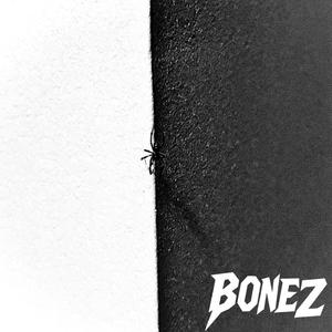 BONEZ