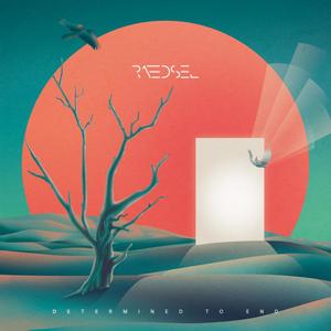 Shell (feat. At the Grove)