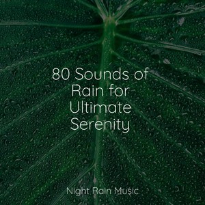 80 Sounds of Rain for Ultimate Serenity