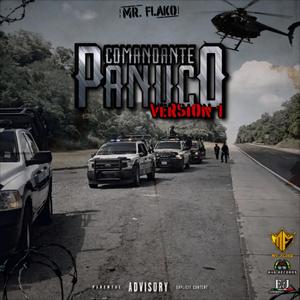 COMANDANTE PANUCO V1 (Explicit)