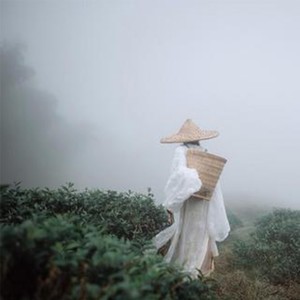 喊茶歌