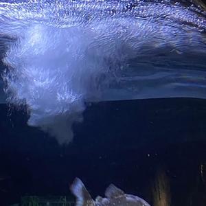 가스라이팅 해서 당신 없이 못 살게 해놓고 어디 가 (Please love me, Please)