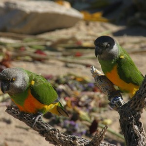 At The Table(feat. Logan Hill)