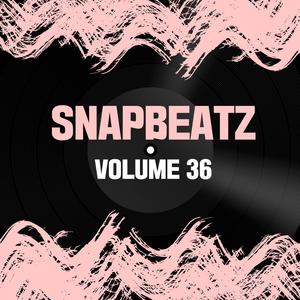 Snap Beatz Vol.36