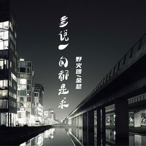 多说一句都是求男版 (伴奏)