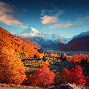 Faded Trails And Tunes